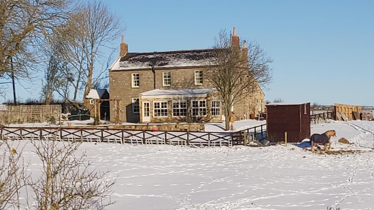Bed and Breakfast Countryside Escape - The Night Owl Alnwick Exterior foto